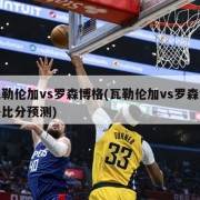 瓦勒伦加vs罗森博格(瓦勒伦加vs罗森博格比分预测)