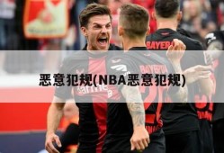 恶意犯规(NBA恶意犯规)