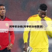 阿甲积分榜(阿甲积分榜新浪)