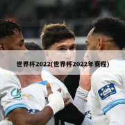 世界杯2022(世界杯2022年赛程)